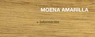 especies-11-moena-amarilla-o